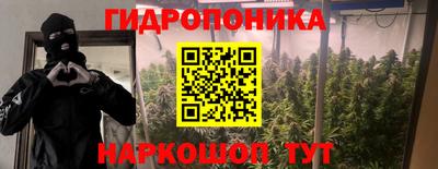 таблы Будённовск