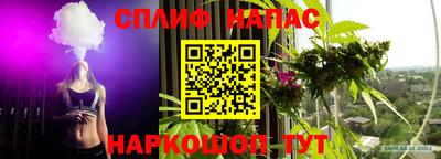 таблы Будённовск