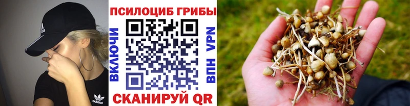 Псилоцибиновые грибы GOLDEN TEACHER  Бугуруслан 