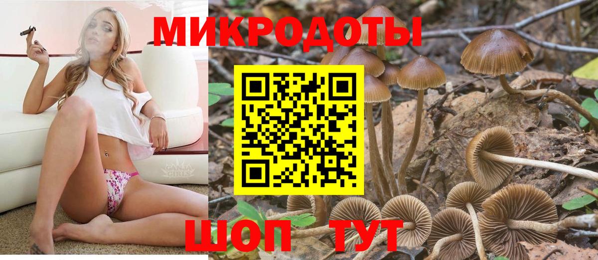 Псилоцибиновые грибы мухоморы  Бугуруслан  Псилоцибиновые грибы Psilocybe 