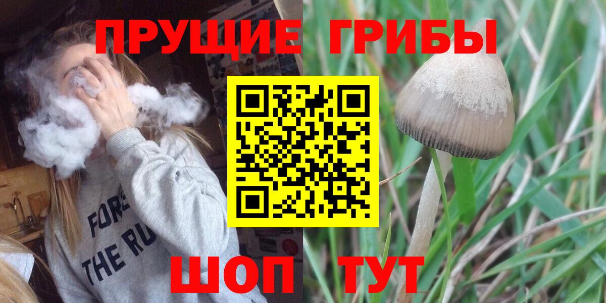 Бугуруслан  сколько стоит  Вход с VPN  Псилоцибиновые грибы Psilocybe 